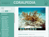 Coralpedia