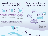Decontamination Poster (Spanish)