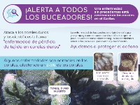 Diver Awareness Poster (Spanish)